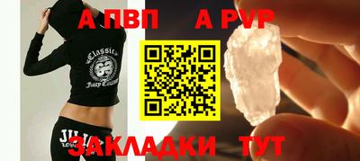 стаф Донской