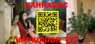 стаф Донской