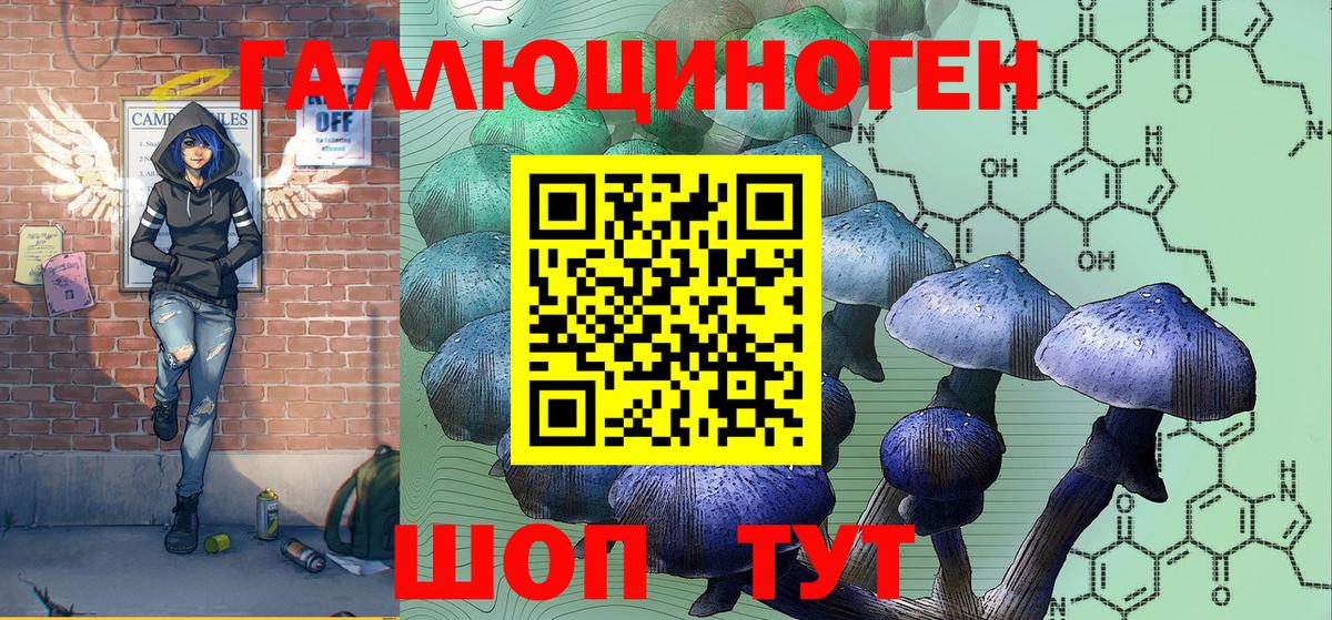 Галлюциногенные грибы прущие грибы  Вход с VPN  Мытищи 